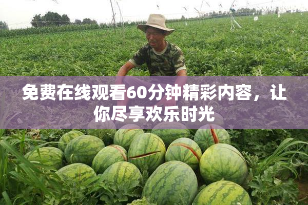 免费在线观看60分钟精彩内容，让你尽享欢乐时光