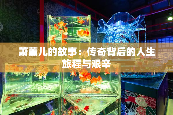 萧薰儿的故事：传奇背后的人生旅程与艰辛