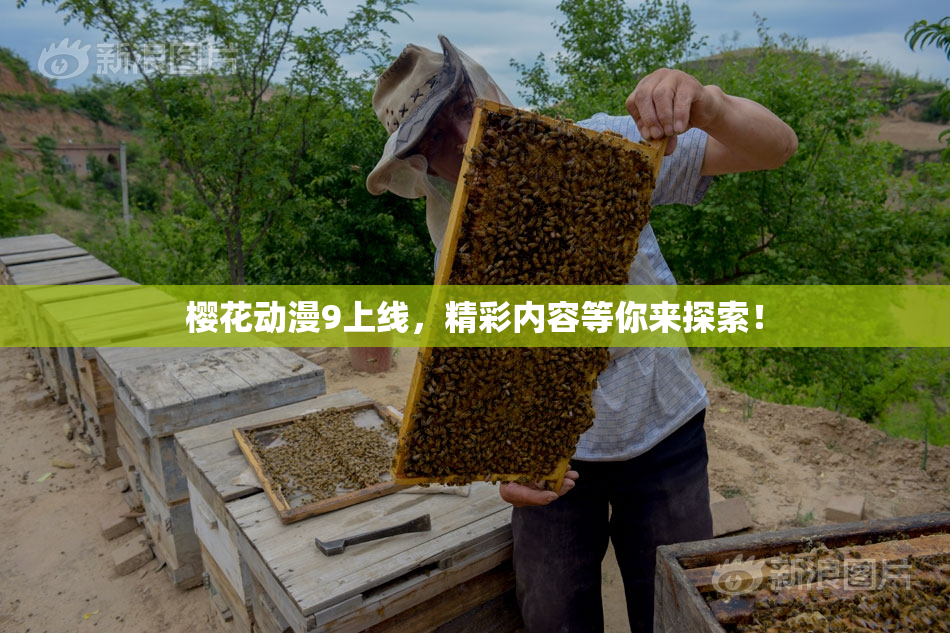 樱花动漫9上线，精彩内容等你来探索！