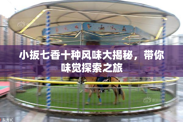 小扳七香十种风味大揭秘，带你味觉探索之旅