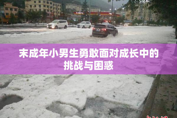 末成年小男生勇敢面对成长中的挑战与困惑