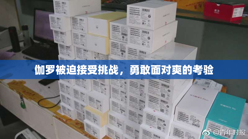 伽罗被迫接受挑战，勇敢面对爽的考验