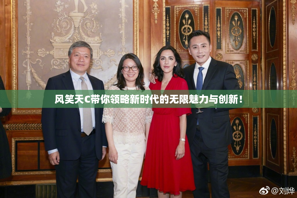 风笑天C带你领略新时代的无限魅力与创新！