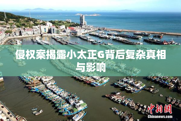 侵权案揭露小太正G背后复杂真相与影响