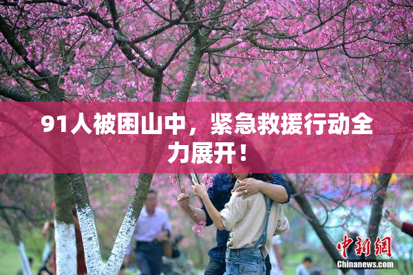 91人被困山中，紧急救援行动全力展开！