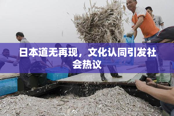 日本道无再现，文化认同引发社会热议