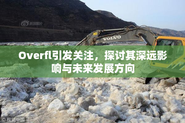 Overfl引发关注，探讨其深远影响与未来发展方向