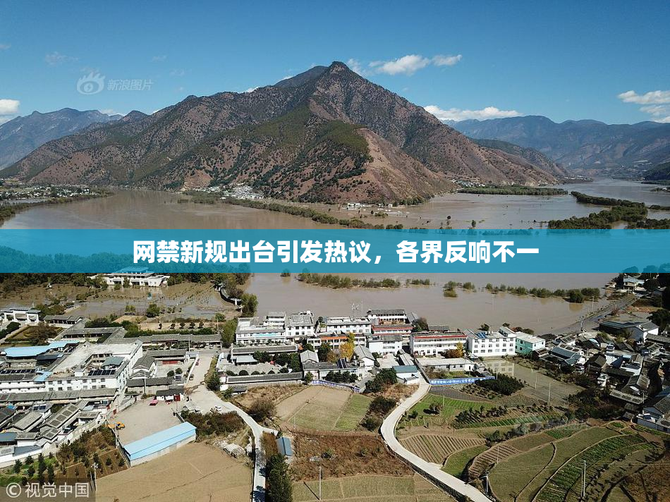 网禁新规出台引发热议，各界反响不一