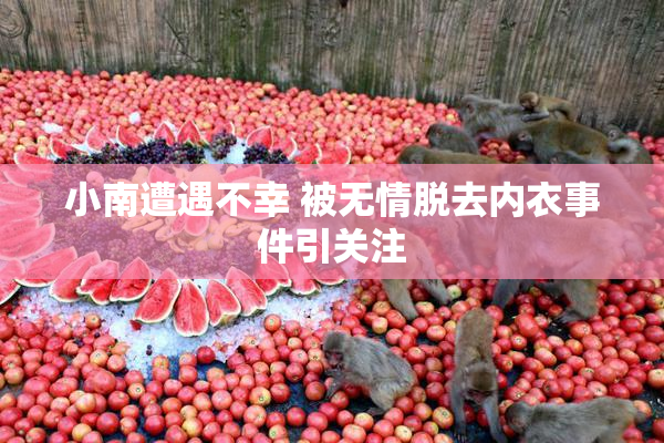 小南遭遇不幸 被无情脱去内衣事件引关注
