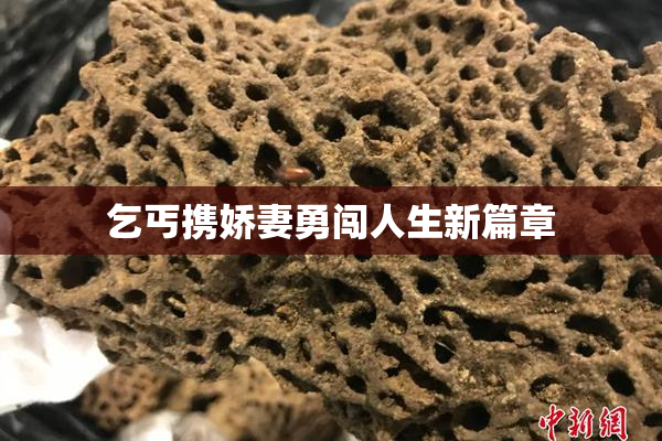 乞丐携娇妻勇闯人生新篇章