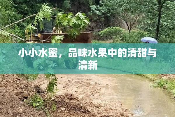 小小水蜜，品味水果中的清甜与清新