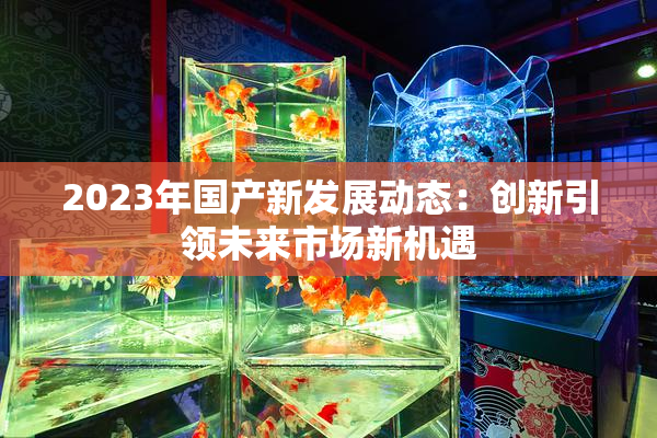 2023年国产新发展动态：创新引领未来市场新机遇