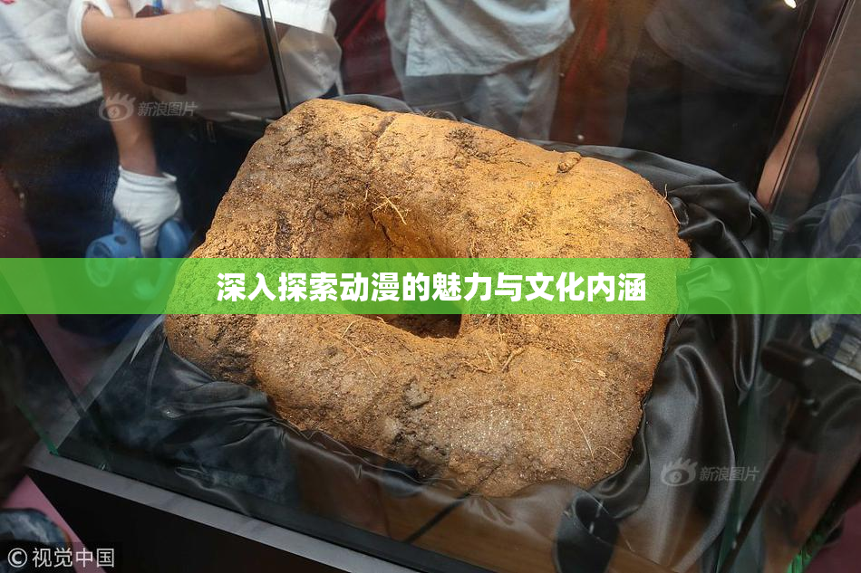 深入探索动漫的魅力与文化内涵