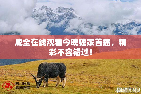 成全在线观看今晚独家首播，精彩不容错过！