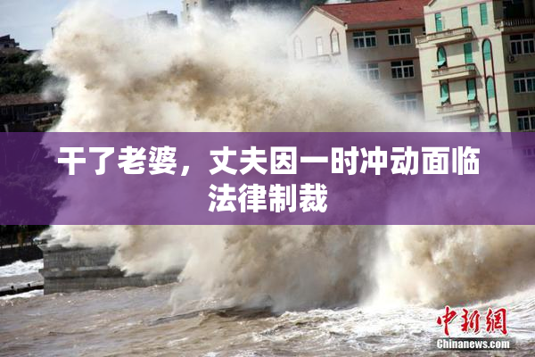 干了老婆，丈夫因一时冲动面临法律制裁