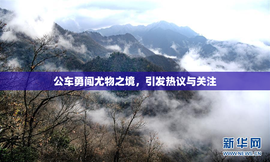 公车勇闯尤物之境，引发热议与关注