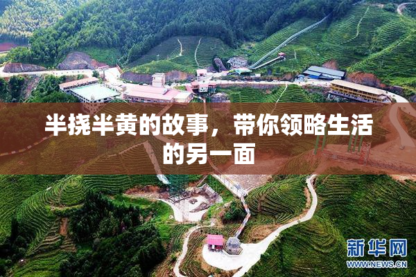 半挠半黄的故事，带你领略生活的另一面