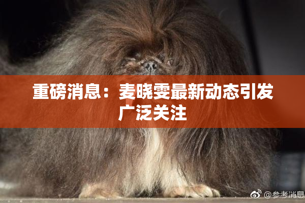 重磅消息：麦晓雯最新动态引发广泛关注