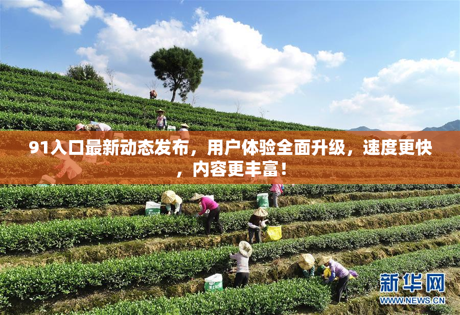91入口最新动态发布，用户体验全面升级，速度更快，内容更丰富！