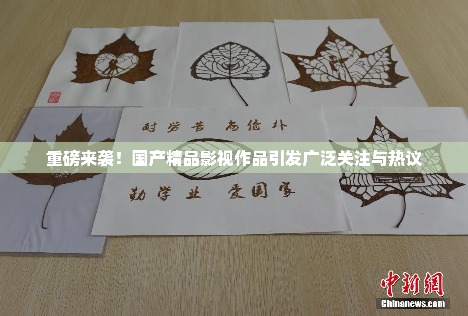 重磅来袭！国产精品影视作品引发广泛关注与热议