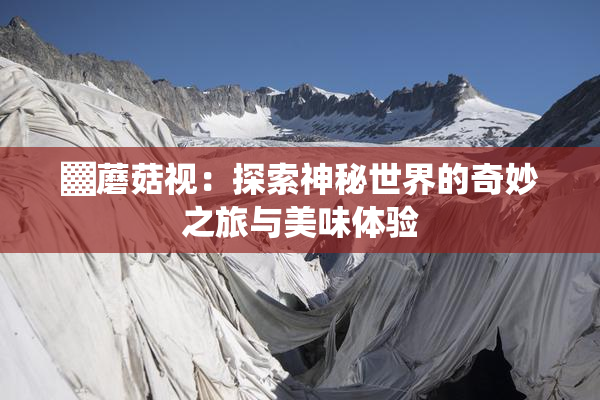 ▓蘑菇视：探索神秘世界的奇妙之旅与美味体验