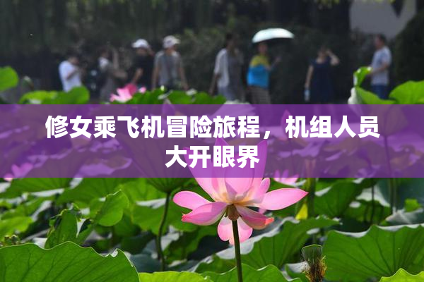 修女乘飞机冒险旅程，机组人员大开眼界