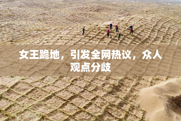 女王跪地，引发全网热议，众人观点分歧