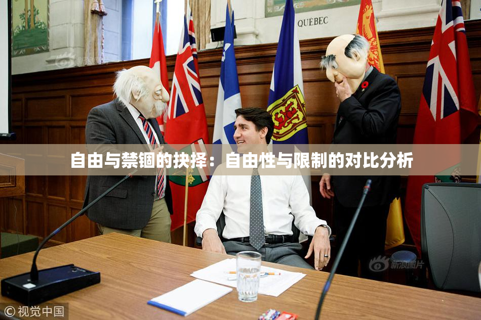 自由与禁锢的抉择：自由性与限制的对比分析