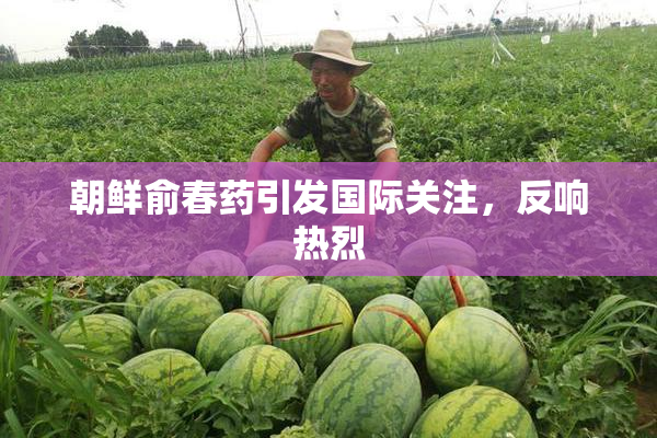 朝鲜俞春药引发国际关注，反响热烈