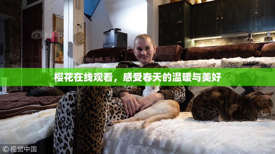 樱花在线观看，感受春天的温暖与美好