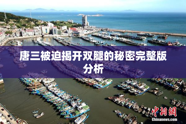 唐三被迫揭开双腿的秘密完整版分析