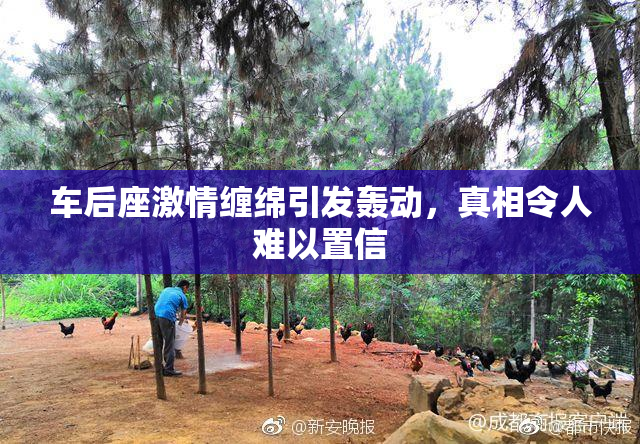 车后座激情缠绵引发轰动，真相令人难以置信