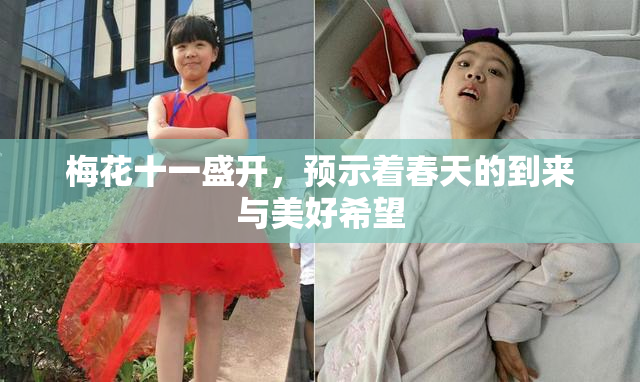 梅花十一盛开，预示着春天的到来与美好希望