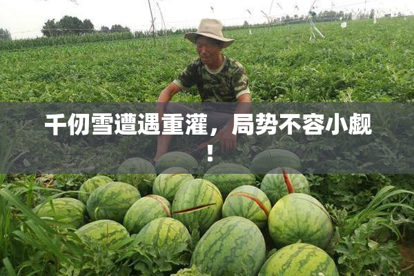 千仞雪遭遇重灌，局势不容小觑！