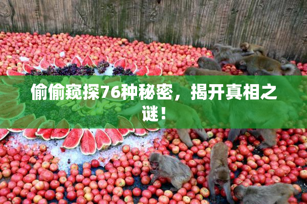 偷偷窥探76种秘密，揭开真相之谜！