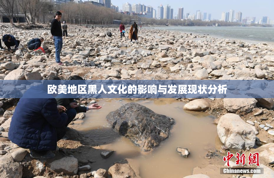 欧美地区黑人文化的影响与发展现状分析
