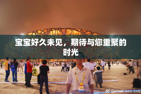 宝宝好久未见，期待与您重聚的时光
