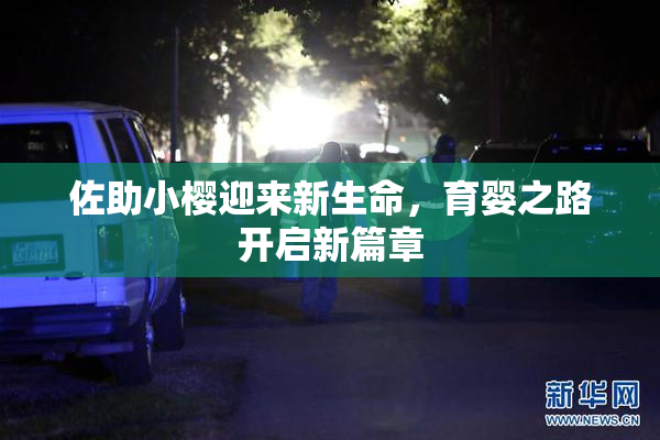 佐助小樱迎来新生命，育婴之路开启新篇章