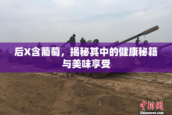 后X含葡萄，揭秘其中的健康秘籍与美味享受