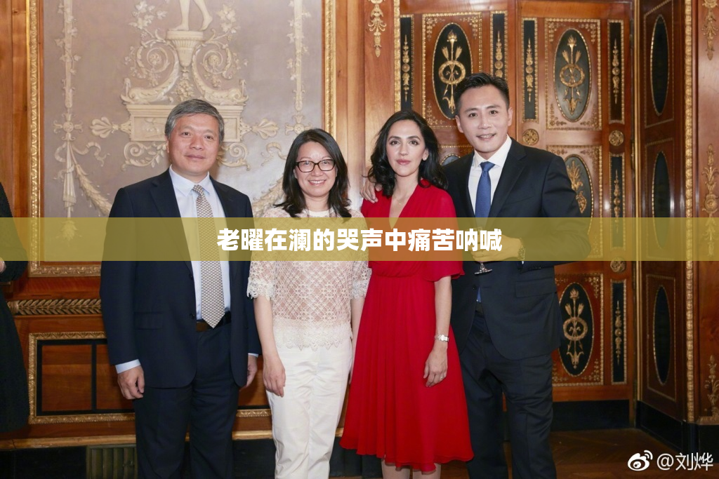 老曜在澜的哭声中痛苦呐喊