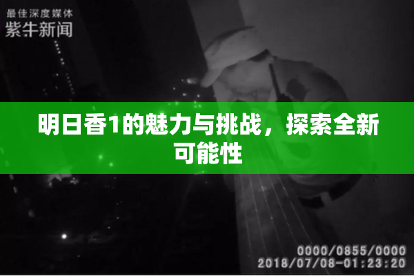 明日香1的魅力与挑战，探索全新可能性
