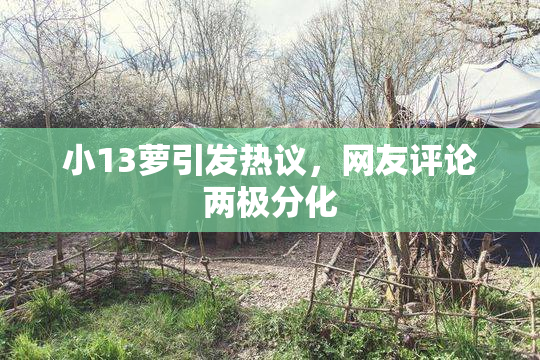 小13萝引发热议，网友评论两极分化