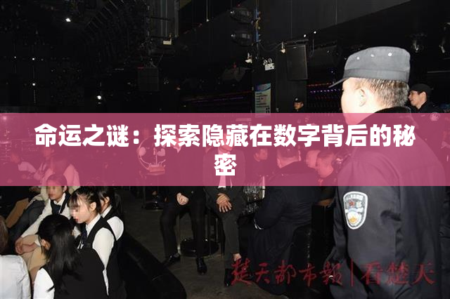 命运之谜：探索隐藏在数字背后的秘密