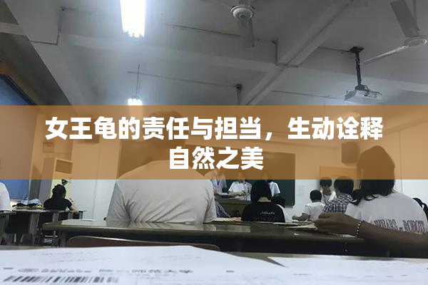 女王龟的责任与担当，生动诠释自然之美