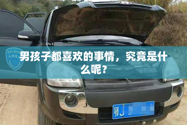 男孩子都喜欢的事情，究竟是什么呢？