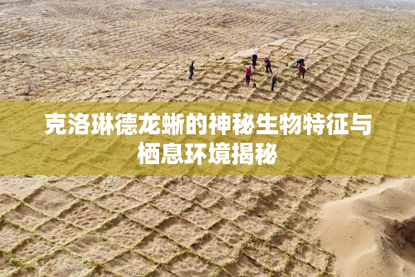 克洛琳德龙蜥的神秘生物特征与栖息环境揭秘