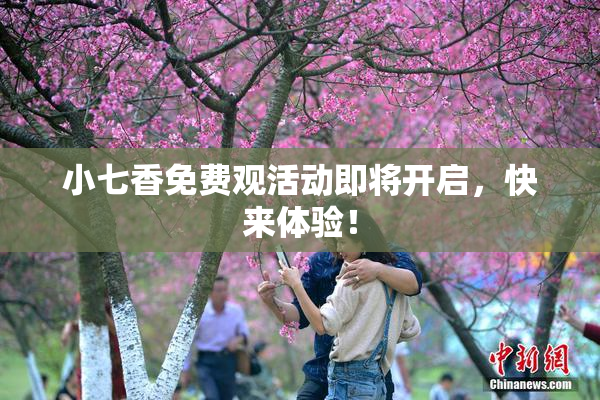 小七香免费观活动即将开启，快来体验！