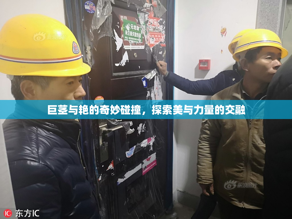 巨茎与艳的奇妙碰撞，探索美与力量的交融
