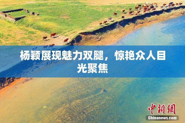 杨颖展现魅力双腿，惊艳众人目光聚焦