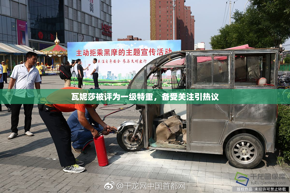 瓦妮莎被评为一级特重，备受关注引热议